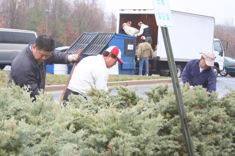 032809-mulch (31).jpg